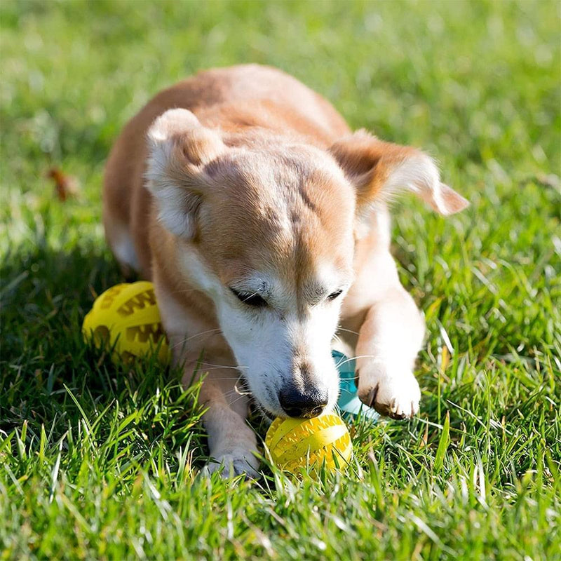 Bola interativa para cachorro