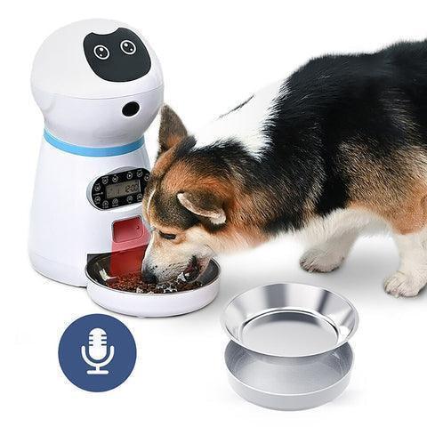 Comedouro Automático para Cachorro e Gato - Gadarelo